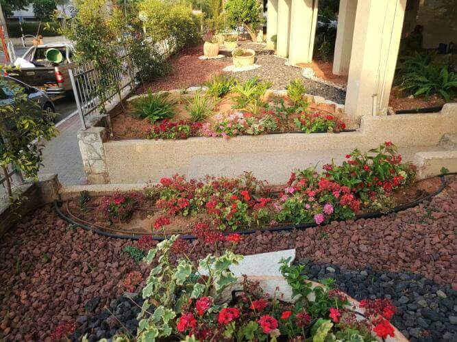 עיצוב גינות